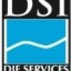 DSI Logo (002)